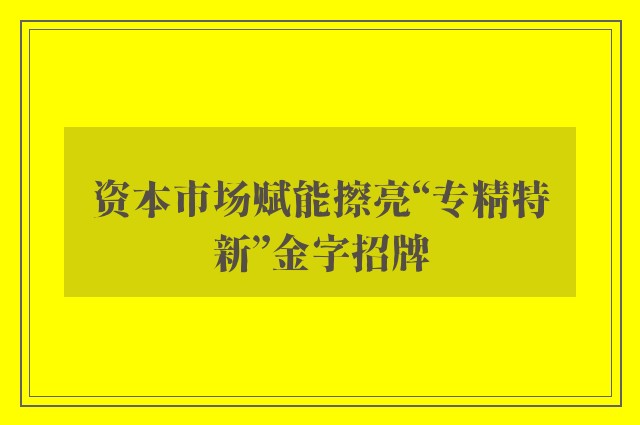 资本市场赋能擦亮“专精特新”金字招牌